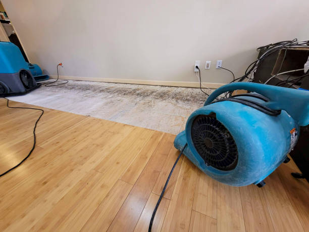 Professional Flood Damage Cleanup technician working in Mission, TX